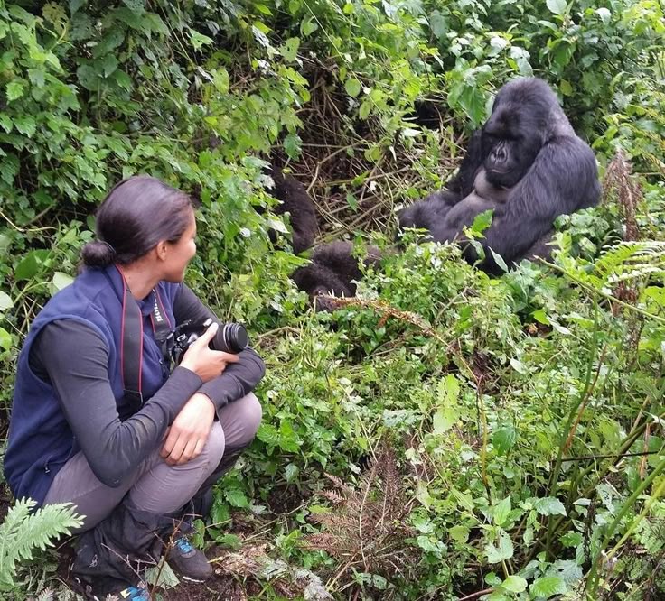 Interested In Gorilla Trekking in Uganda_ Here's Everything You Need To Know